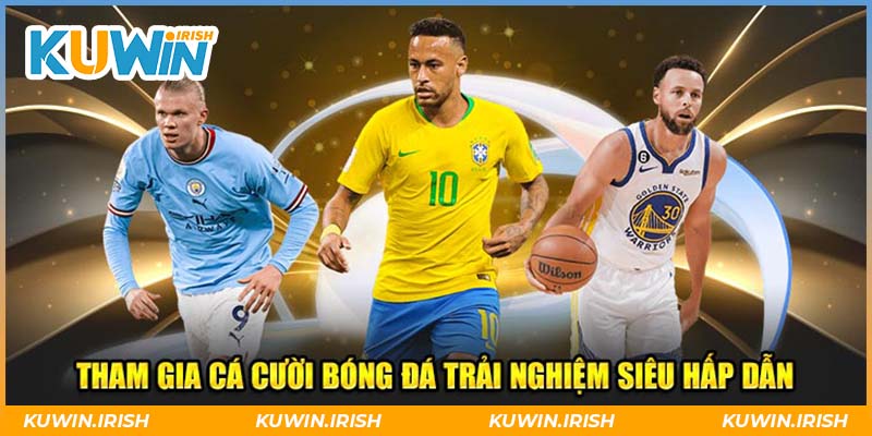 Bí quyết thi đấu, trải nghiệm nền tảng hiệu quả cho người mới
