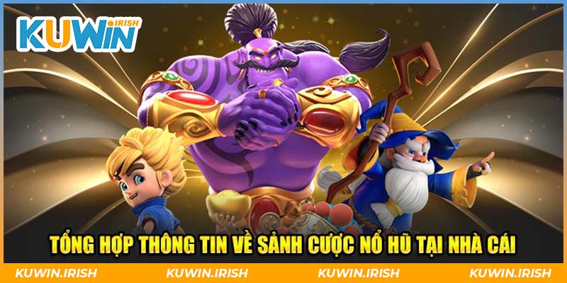 Tổng hợp thông tin về nền tảng chất lượng tại Kuwin