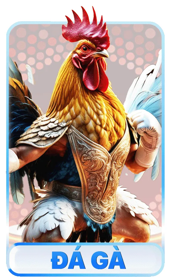 da-ga-kuwin